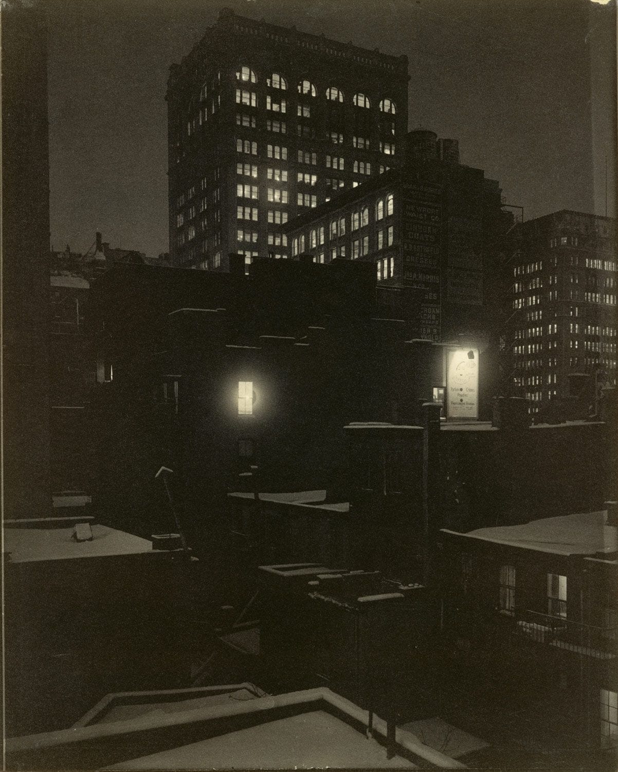 Alfred Stieglitz — imagen 14