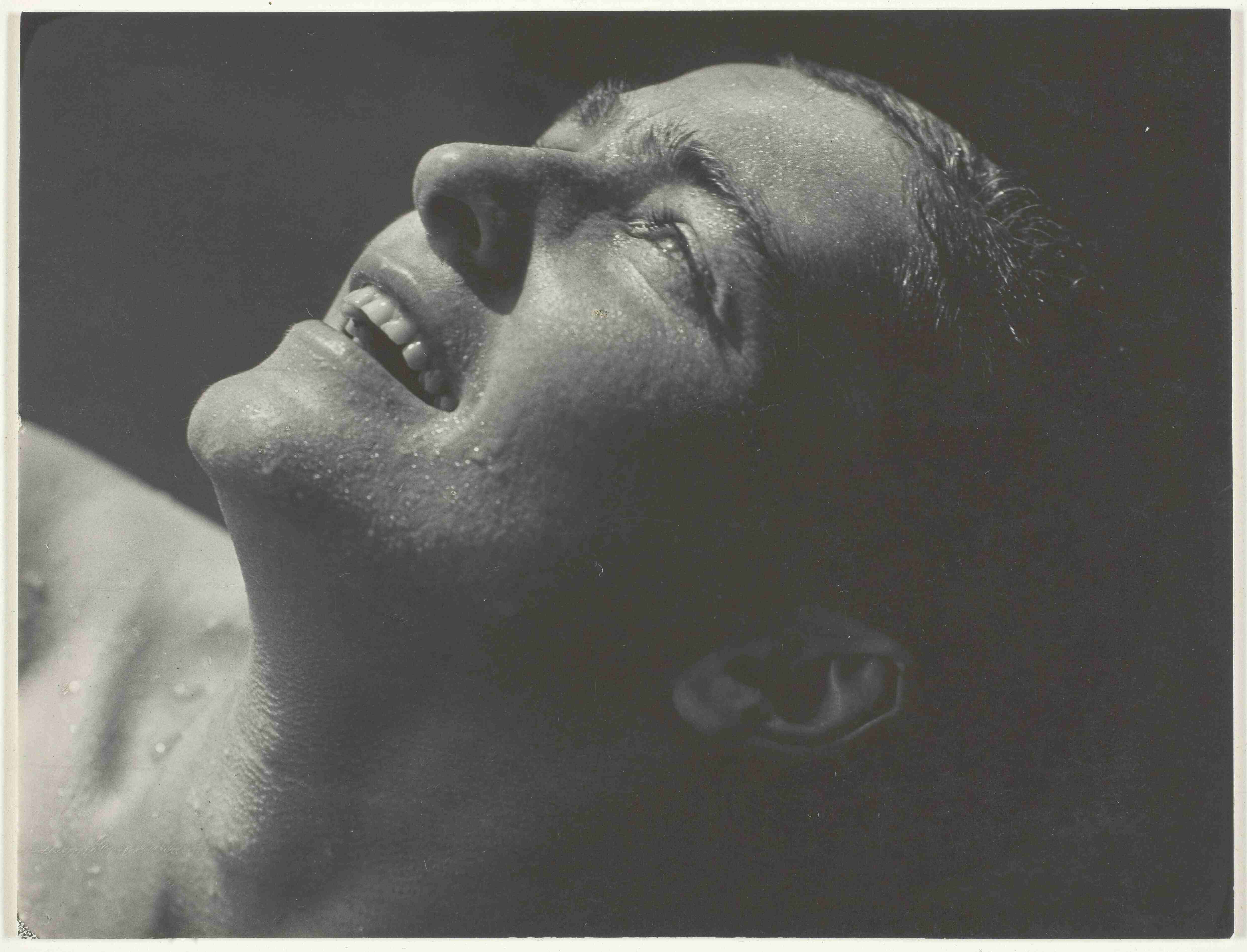 Alfred Stieglitz — imagen 4