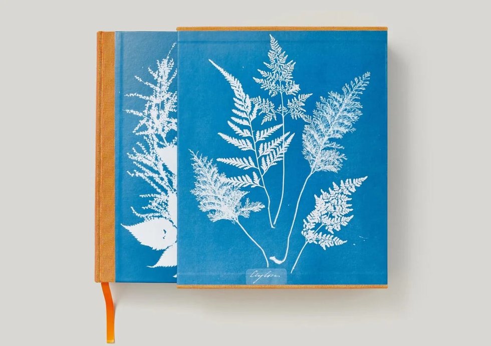 Anna Atkins — imagen 14