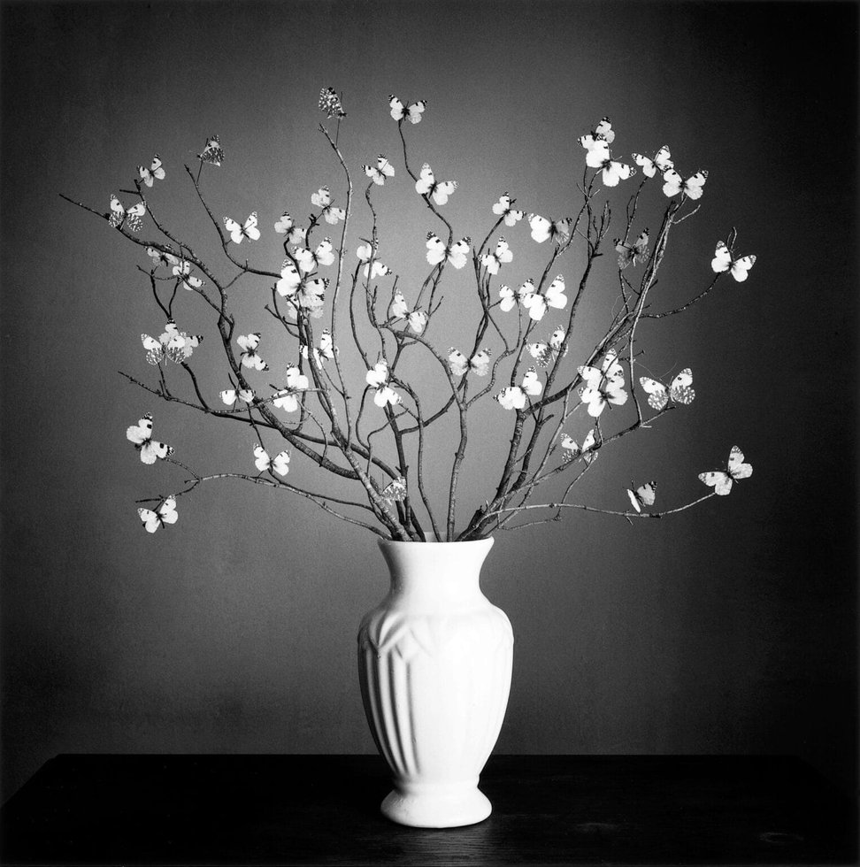 Chema Madoz — imagen 14