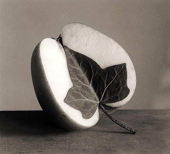 Chema Madoz — imagen 2