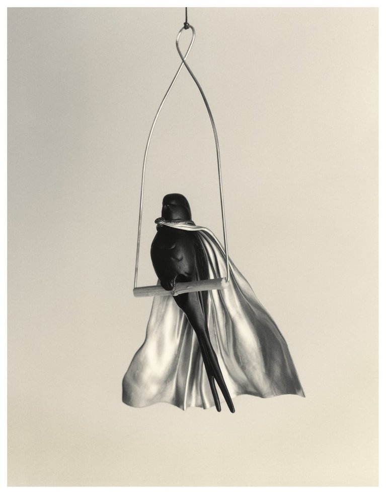 Chema Madoz — imagen 5