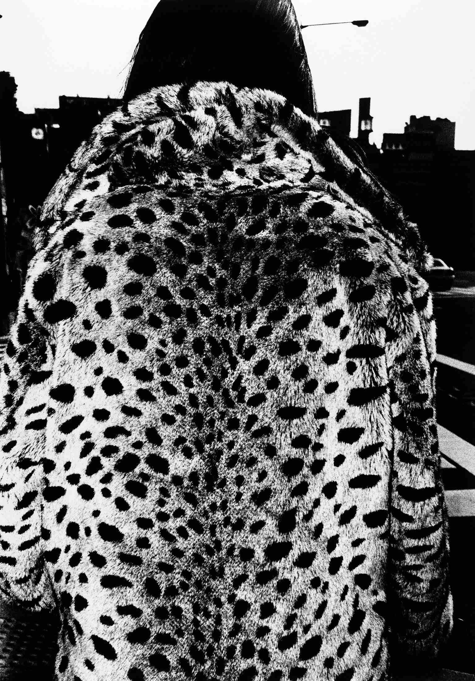 Daido Moriyama — imagen 14