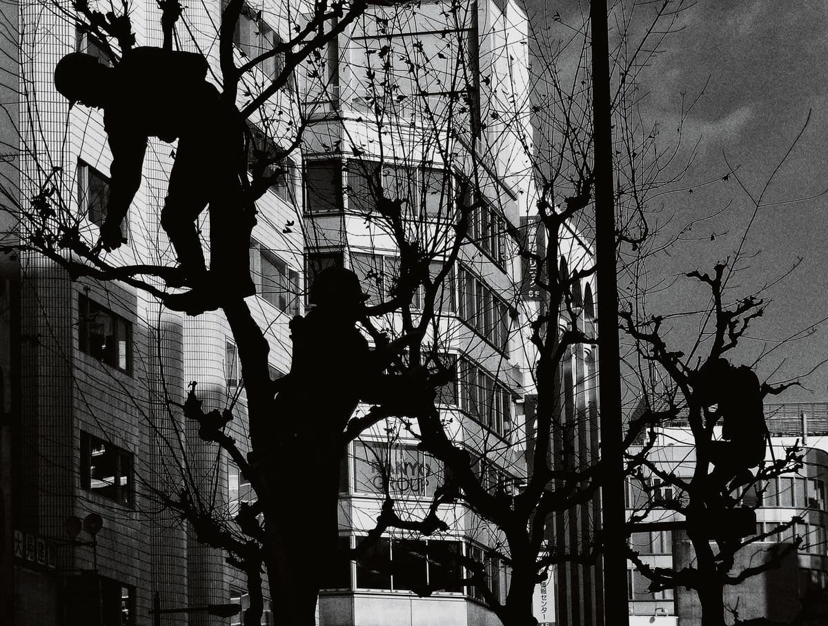 Daido Moriyama — imagen 4