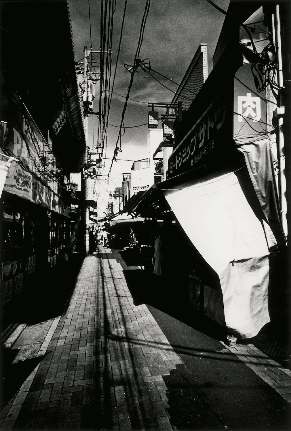 Daido Moriyama — imagen 6