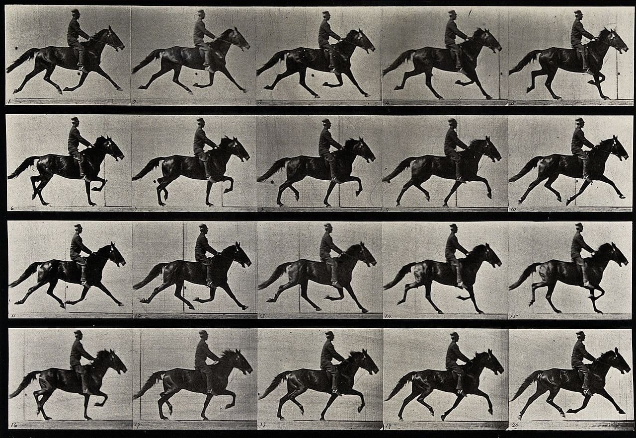 Eadweard Muybridge — imagen 2