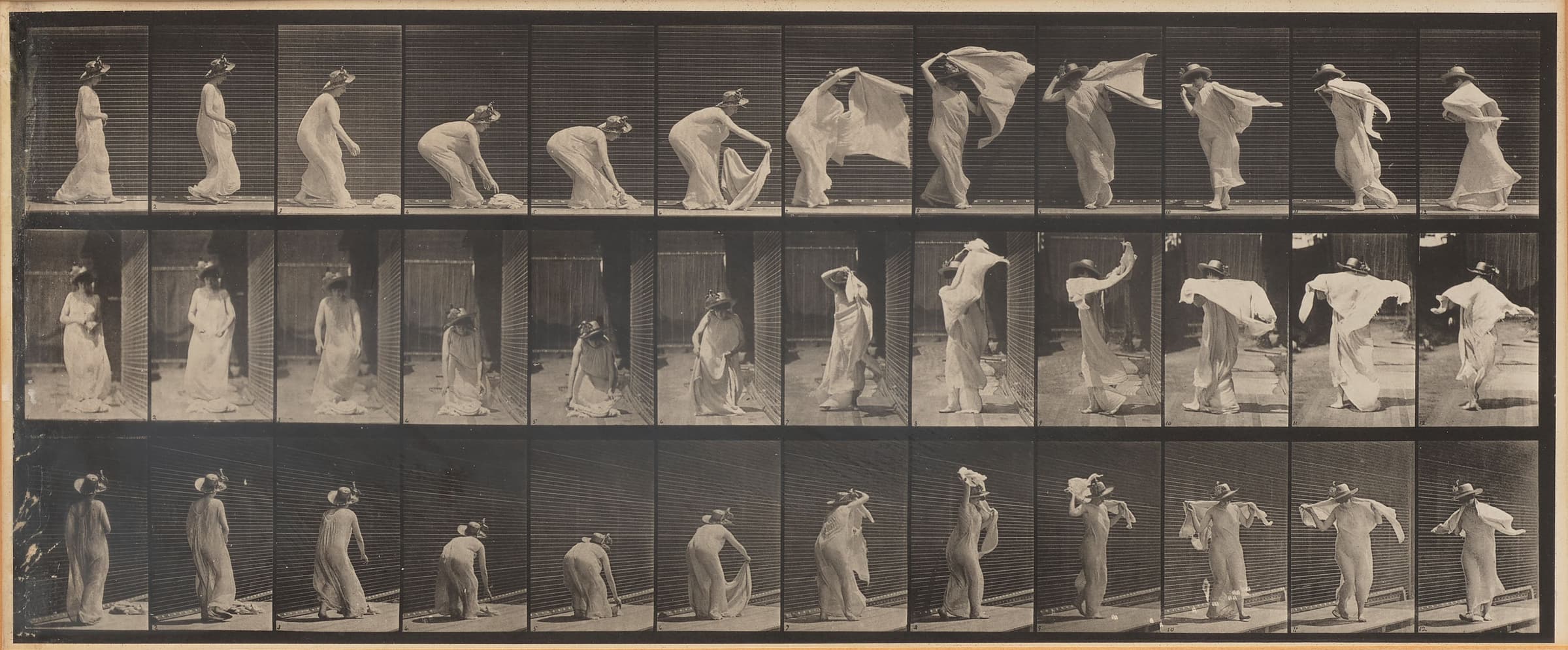 Eadweard Muybridge — imagen 6