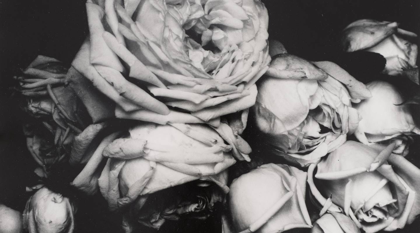 Edward Steichen — imagen 7