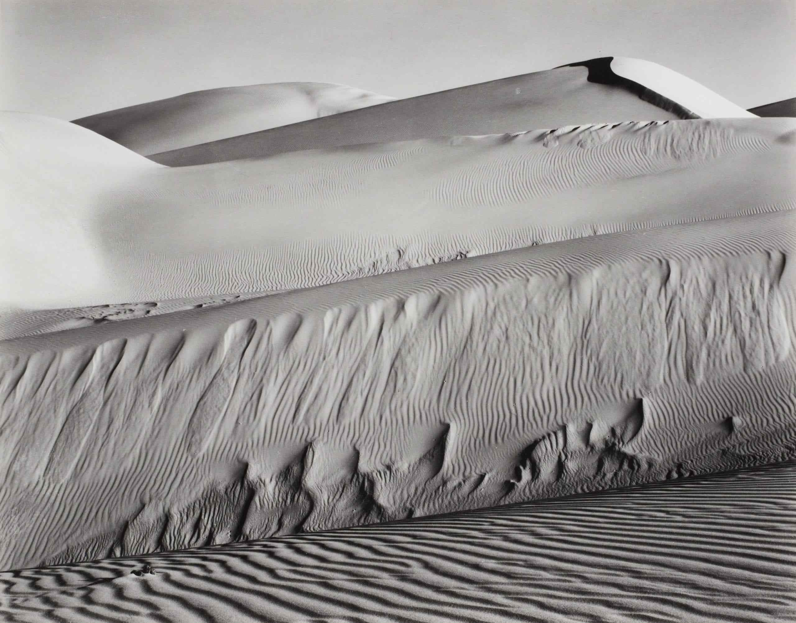 Edward Weston — imagen 15