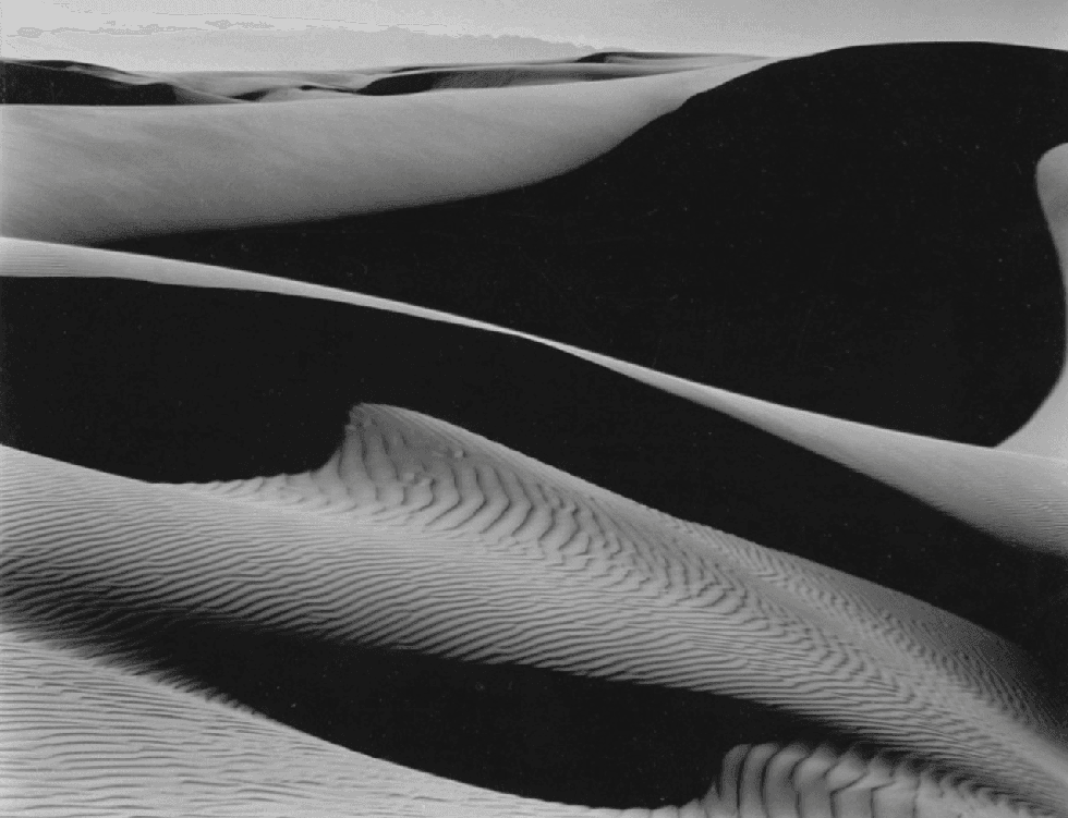 Edward Weston — imagen 8