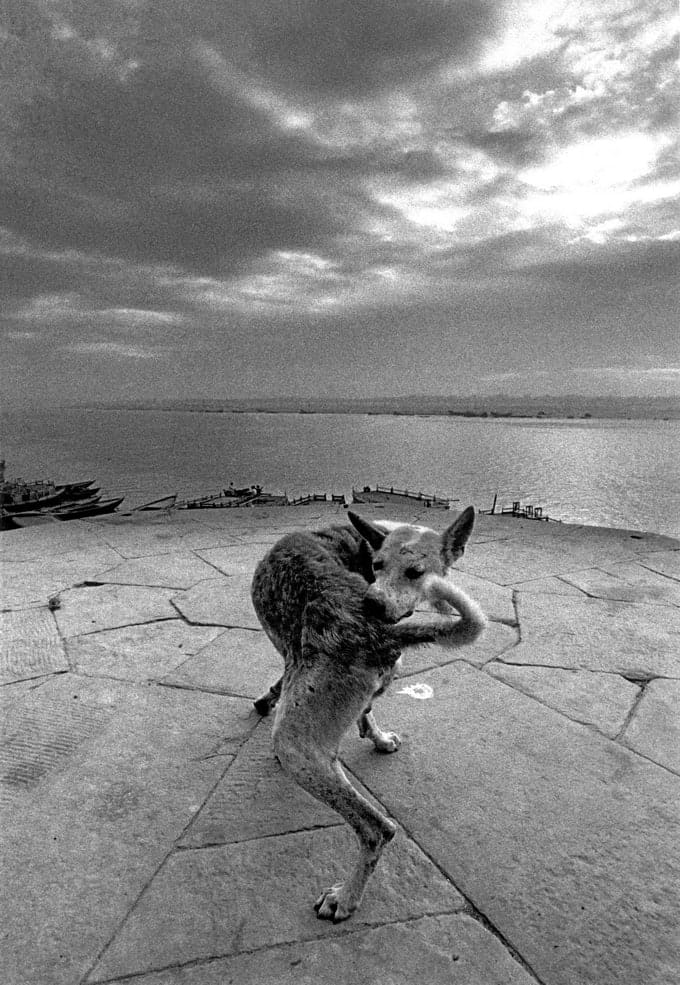 Ferdinando Scianna — imagen 11