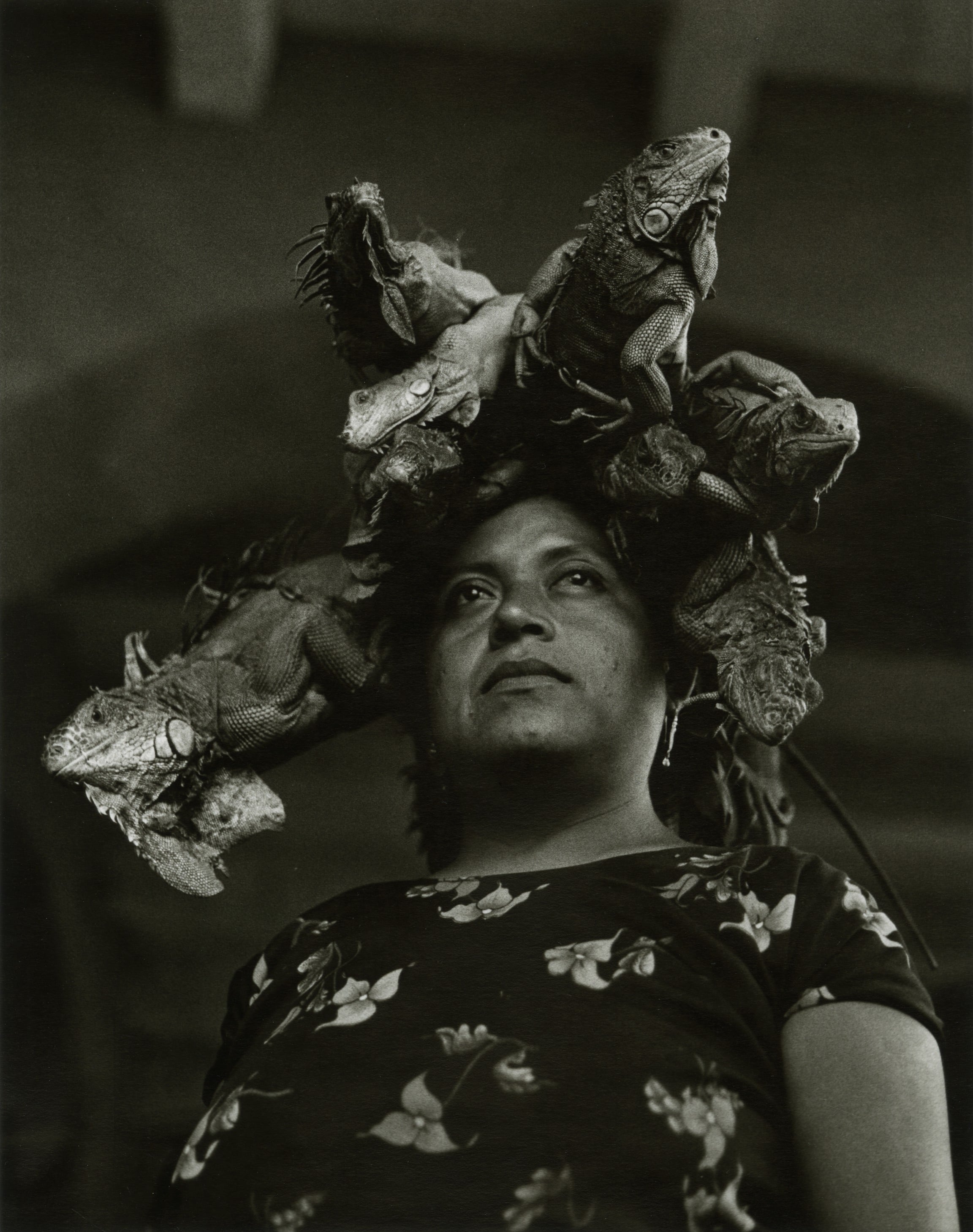 Graciela Iturbide — imagen 7