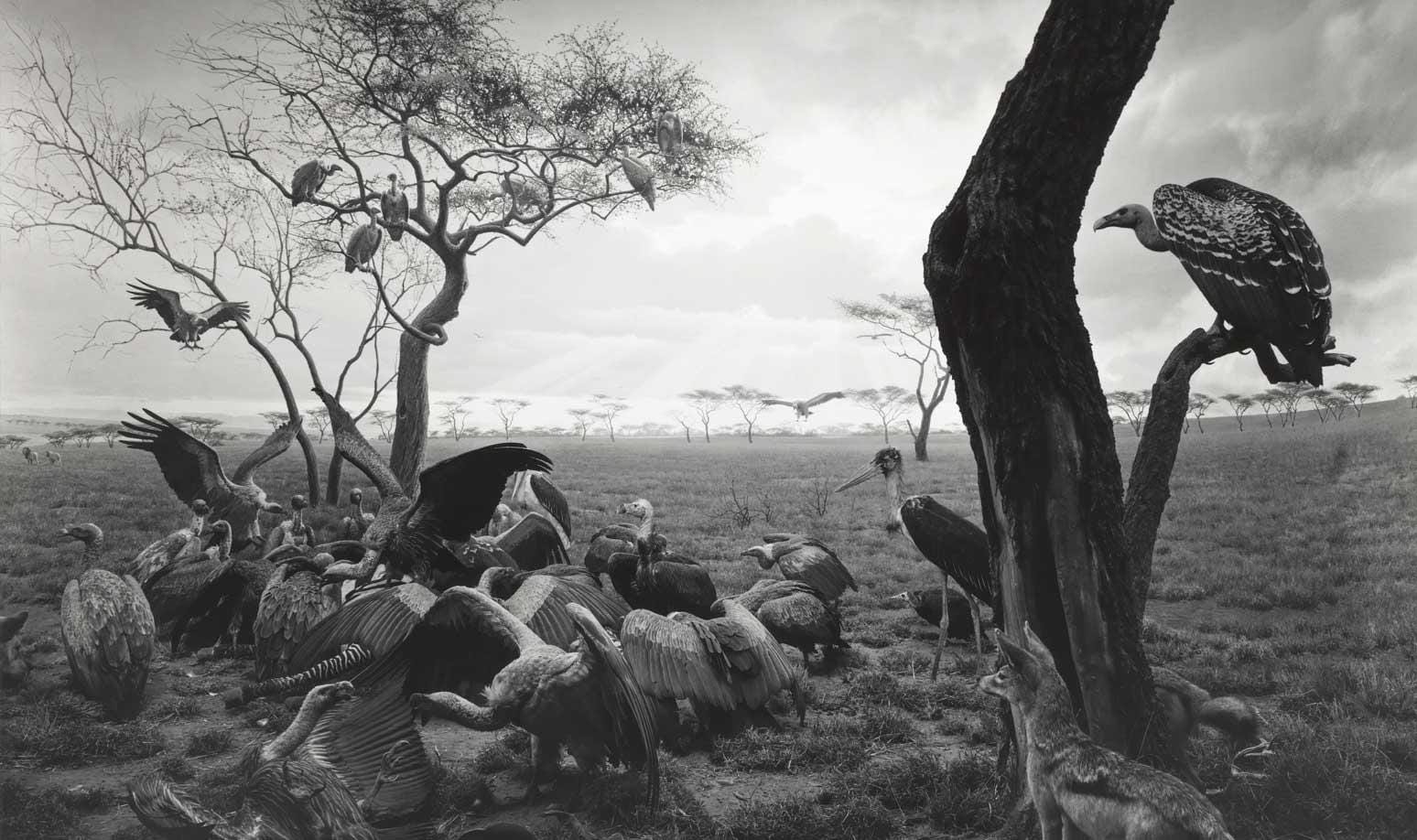 Hiroshi Sugimoto — imagen 7