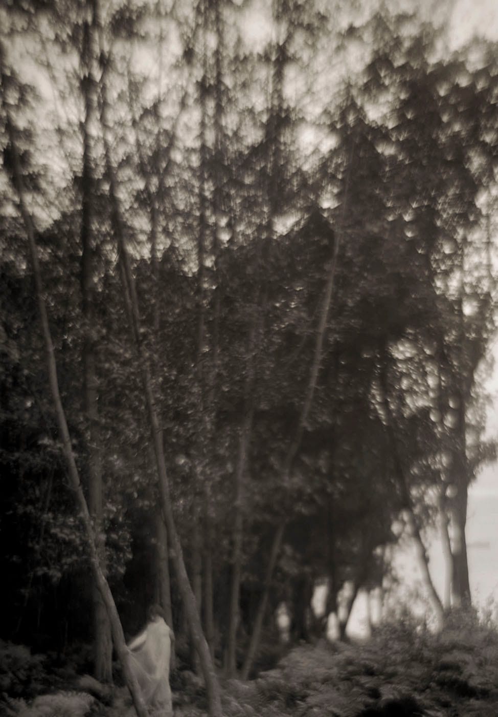 Imogen Cunningham — imagen 12