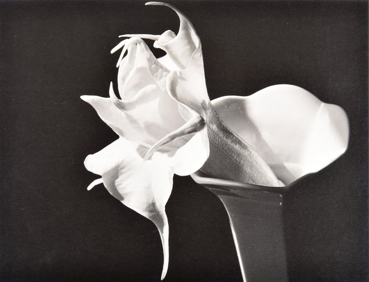 Imogen Cunningham — imagen 7