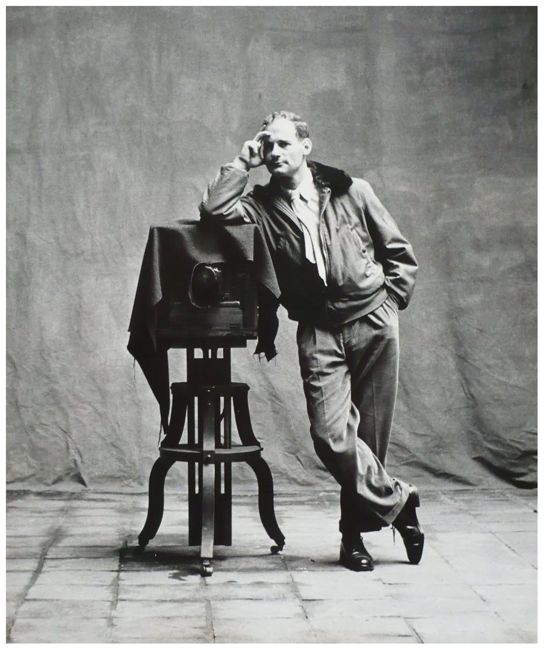 Irving Penn — imagen 15