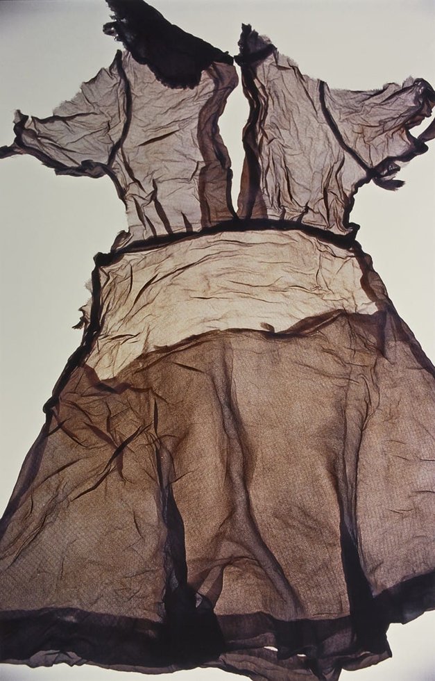 Ishiuchi Miyako — imagen 13