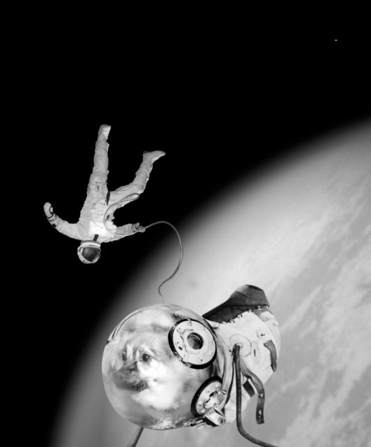 Joan Fontcuberta — imagen 2