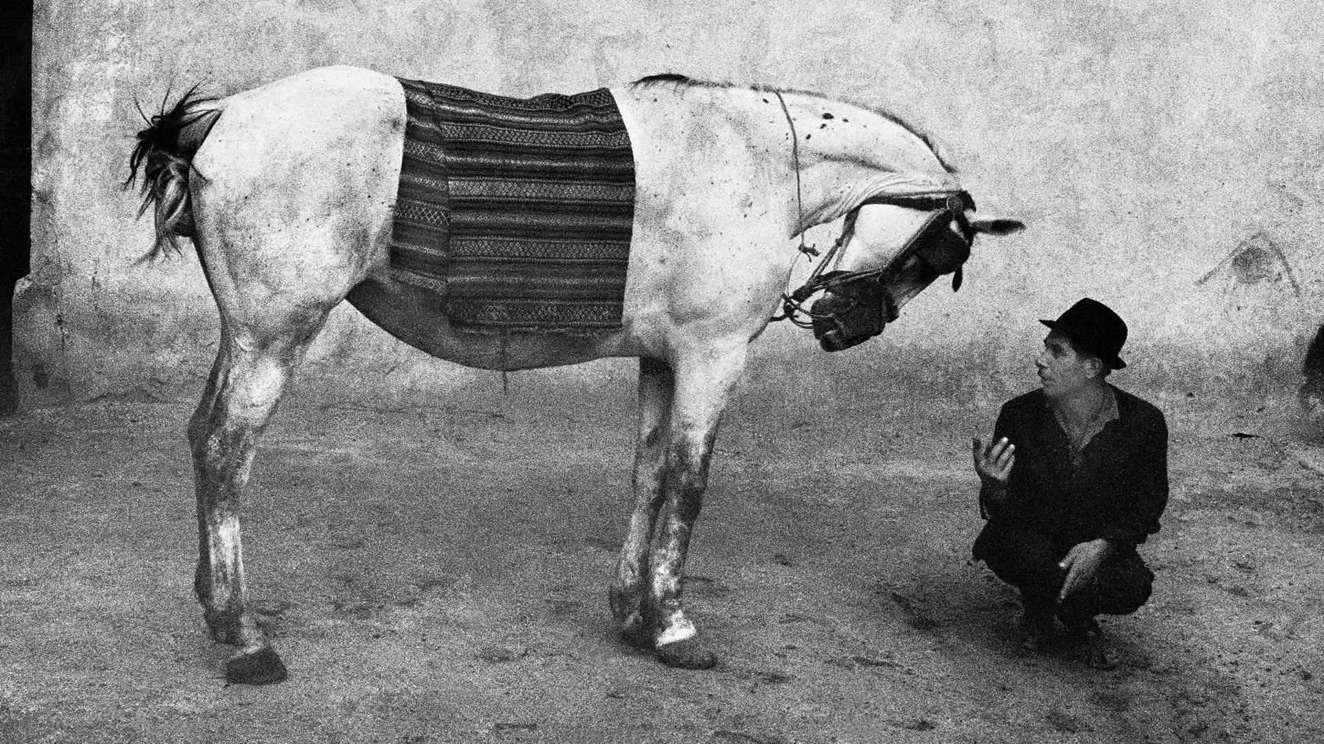 Josef Koudelka — imagen 15