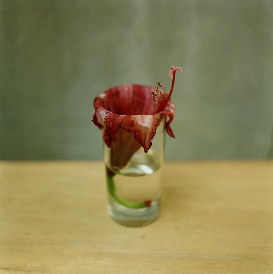 Koo Bohnchang — imagen 4