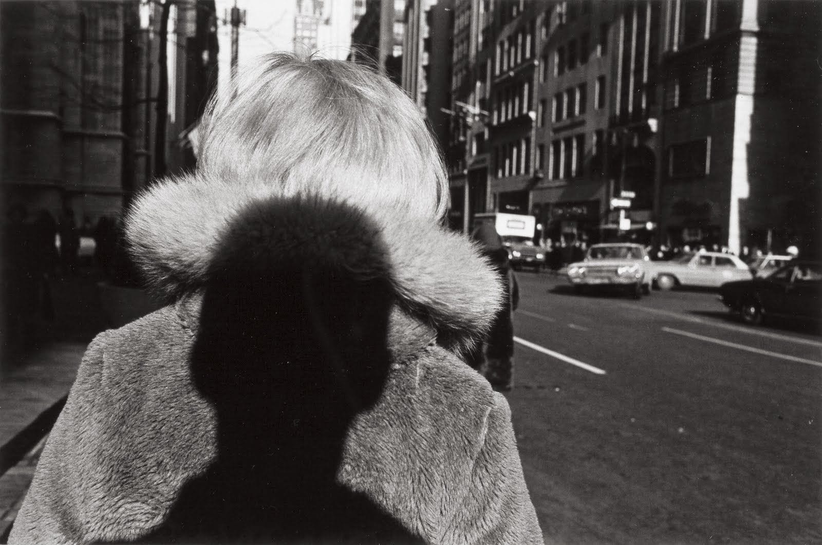 Lee Friedlander — imagen 1
