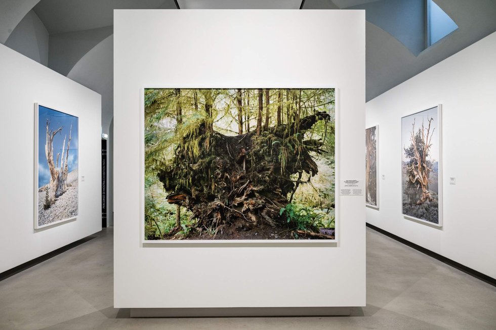 Mitch Epstein — imagen 1