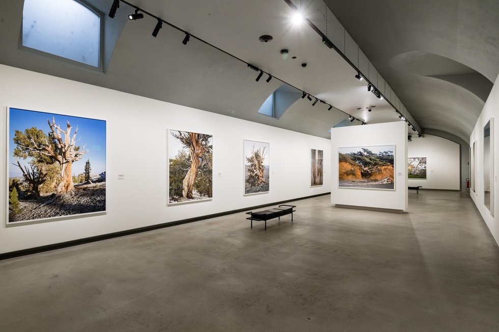 Mitch Epstein — imagen 7