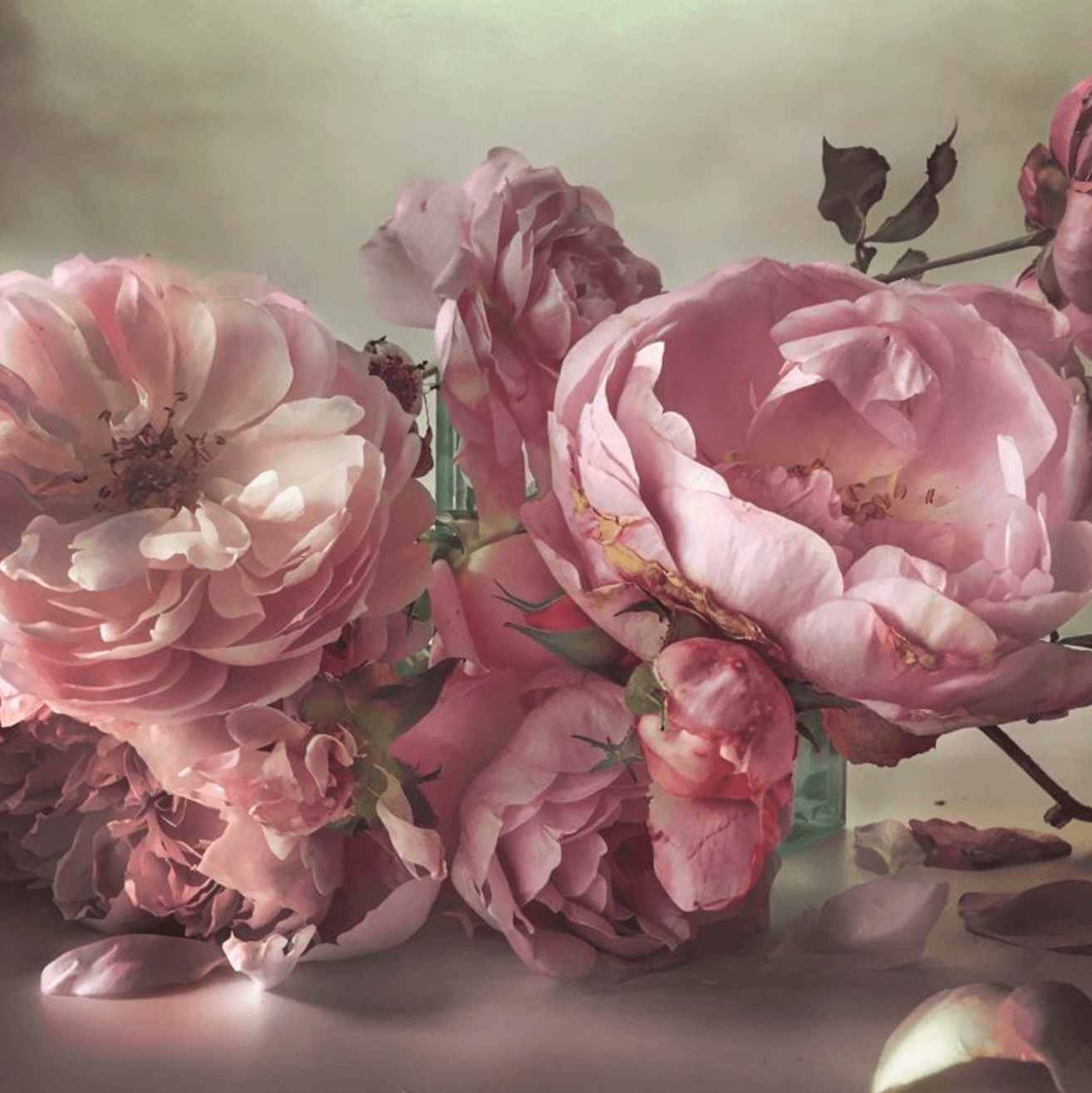 Nick Knight — imagen 1