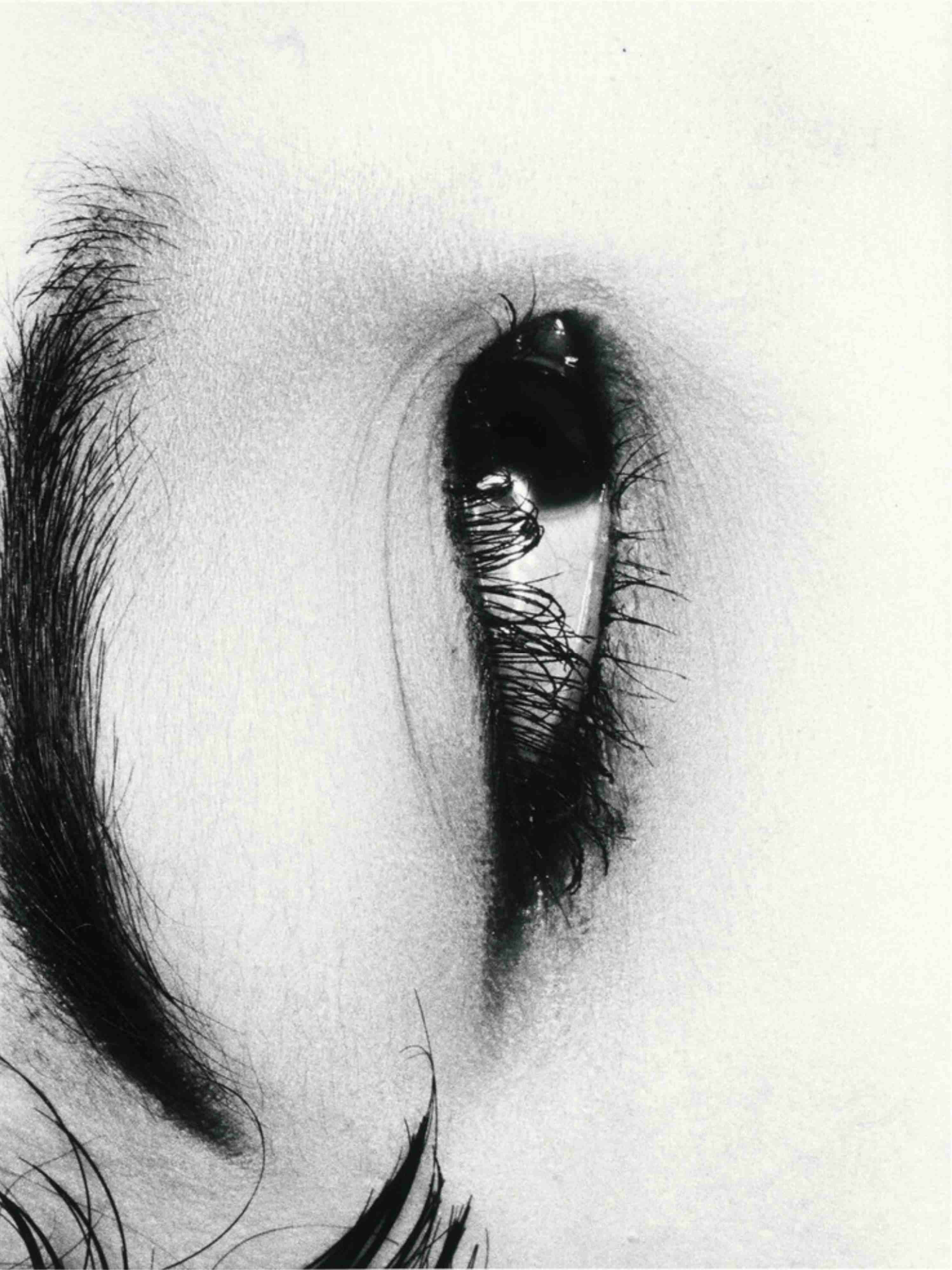Nobuyoshi Araki — imagen 11