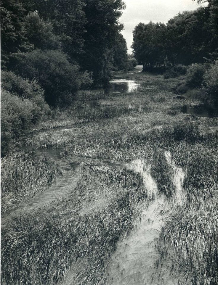 Paul Strand — imagen 11