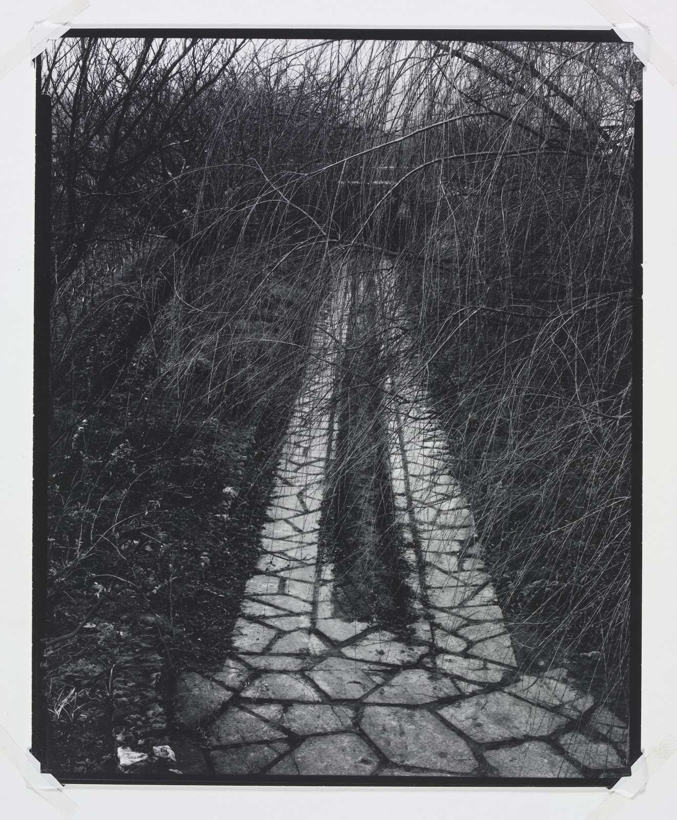 Paul Strand — imagen 6