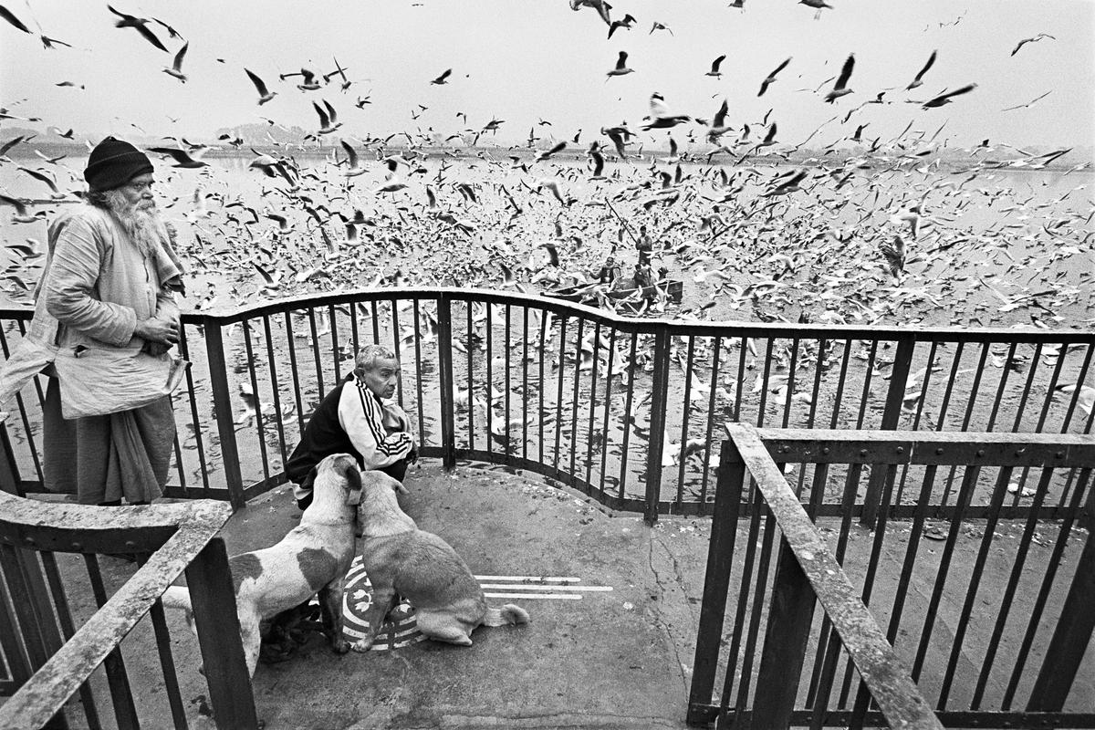 Raghu Rai — imagen 5