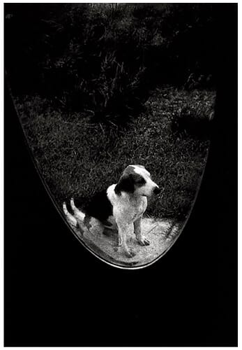 Ralph Gibson — imagen 14