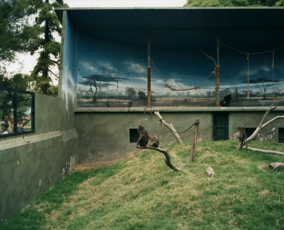 Richard Billingham — imagen 15