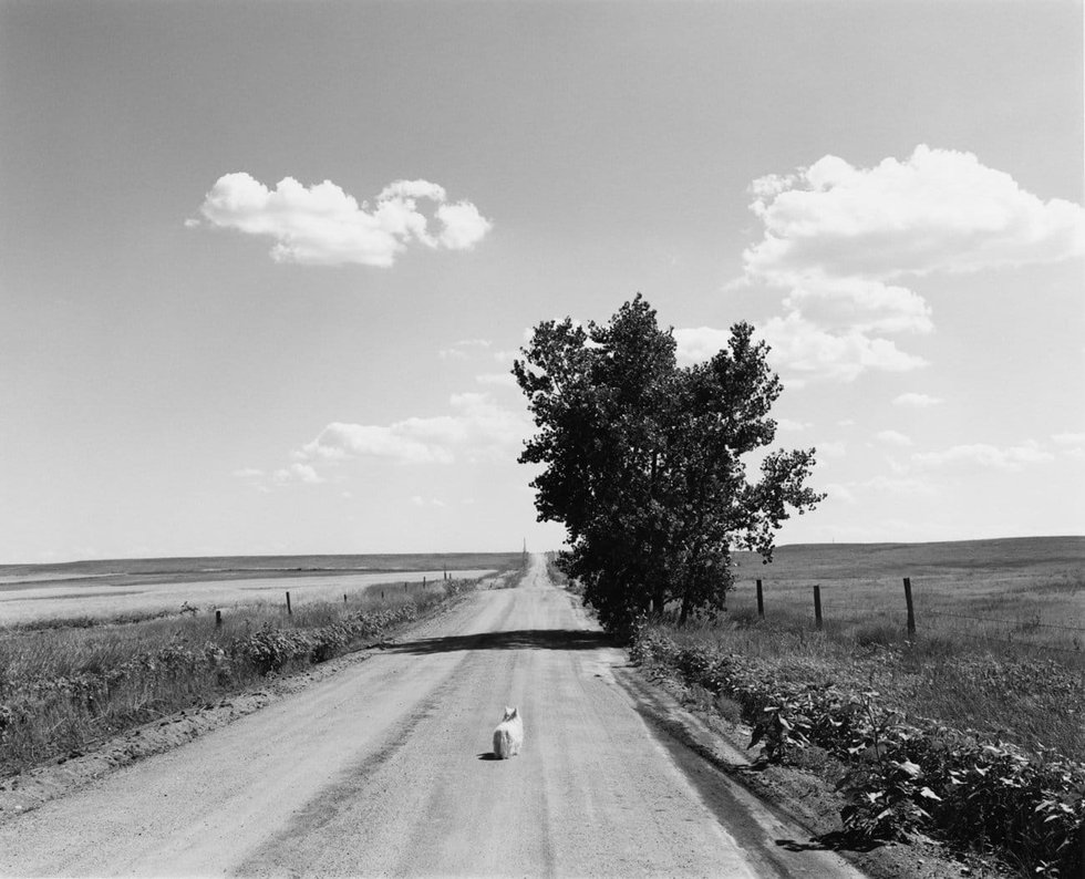 Robert Adams — imagen 11