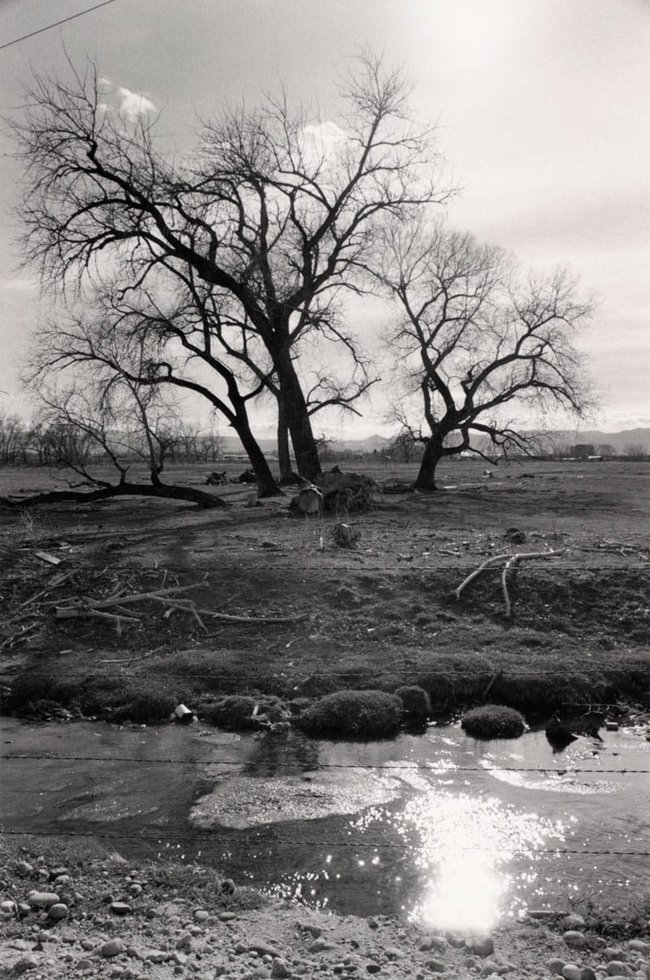 Robert Adams — imagen 12