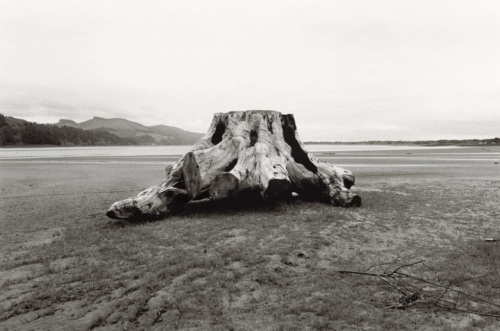 Robert Adams — imagen 2