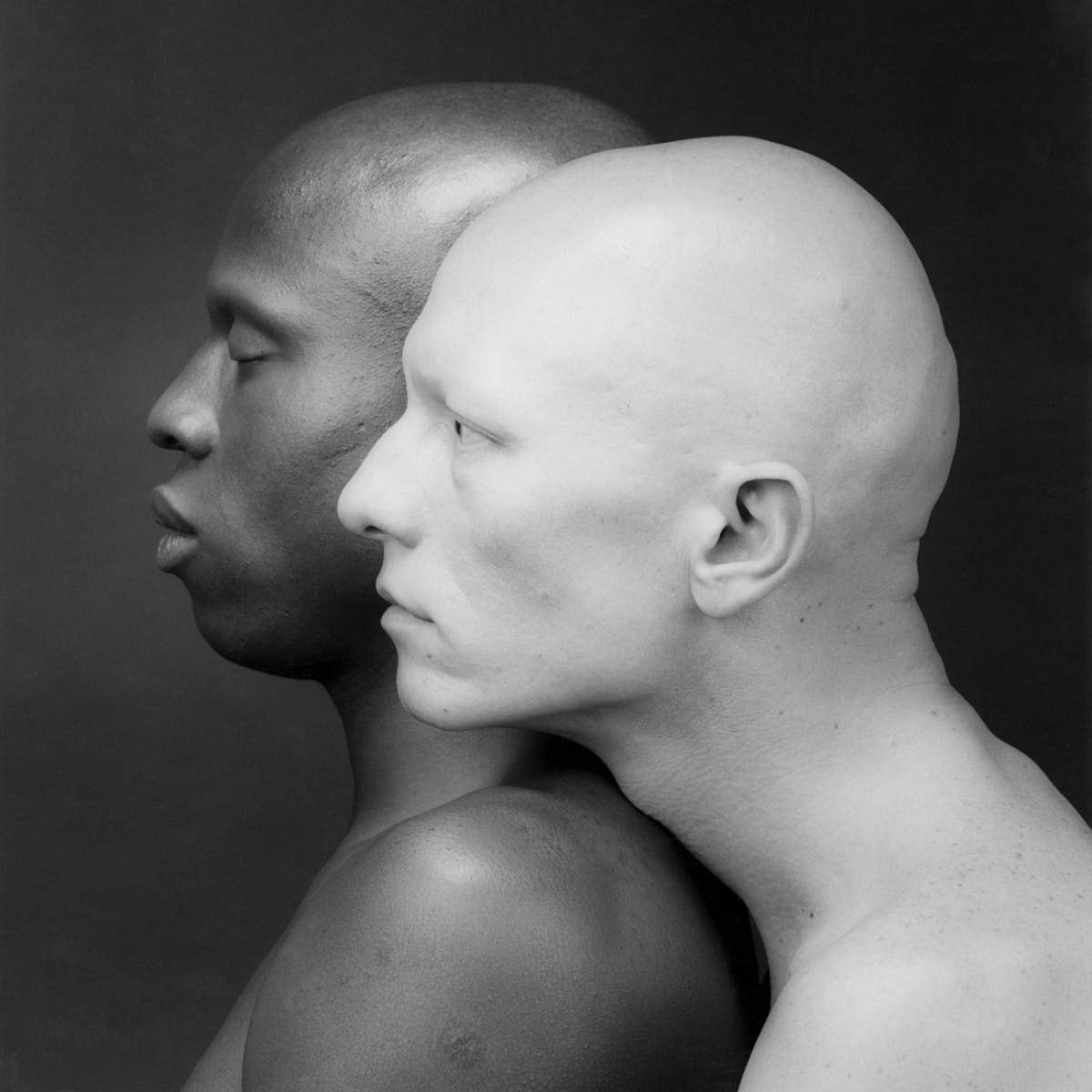 Robert Mapplethorpe — imagen 3
