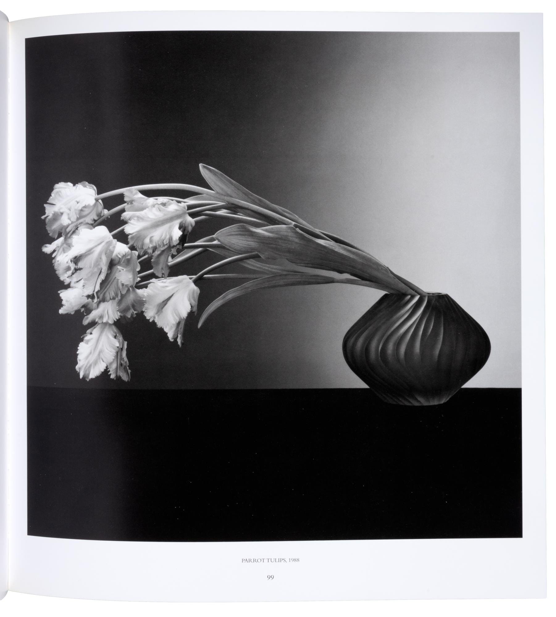 Robert Mapplethorpe — imagen 5
