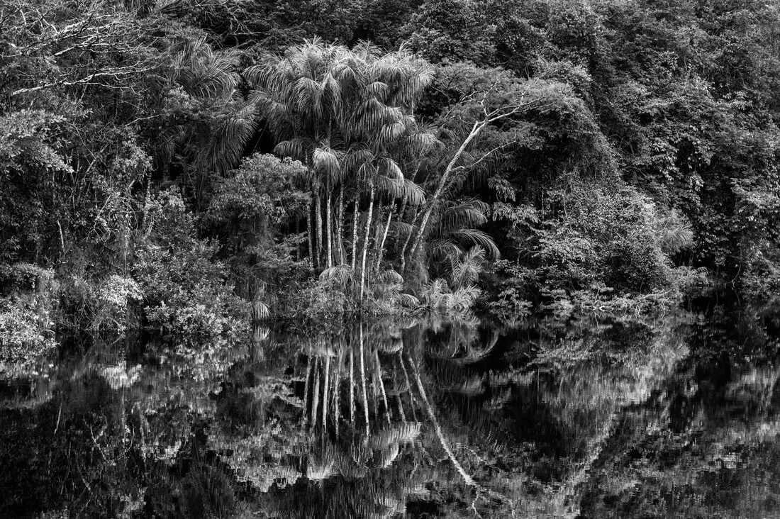 Sebastião Salgado — imagen 12