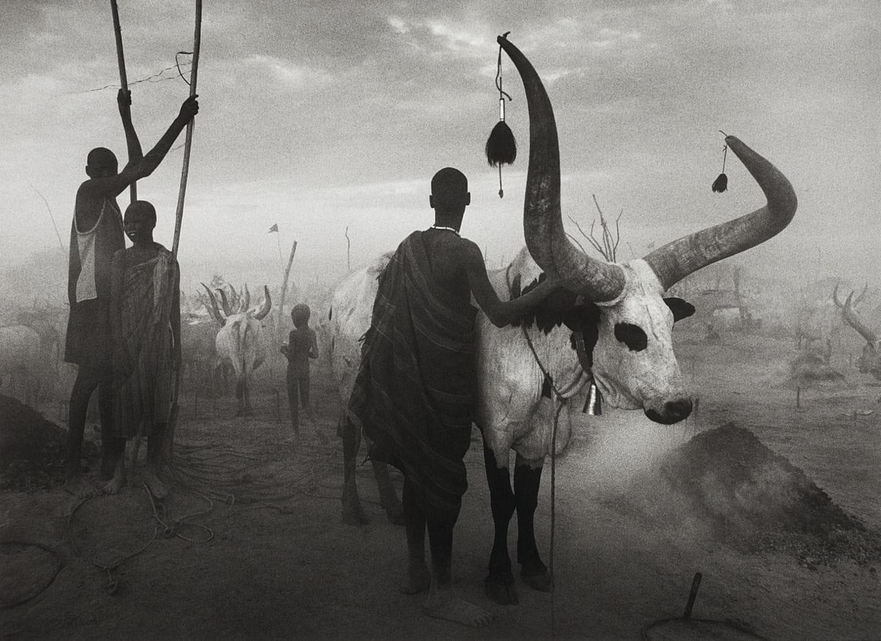 Sebastião Salgado — imagen 2
