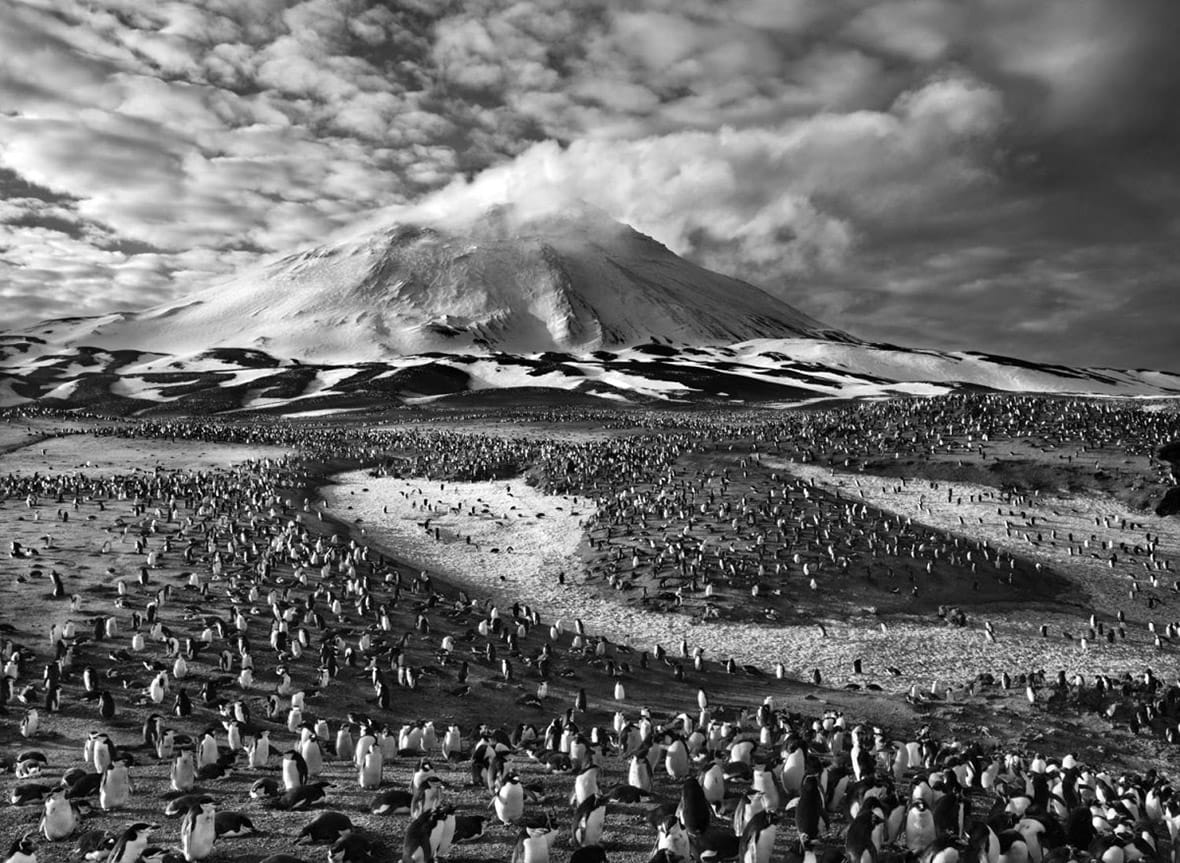 Sebastião Salgado — imagen 3