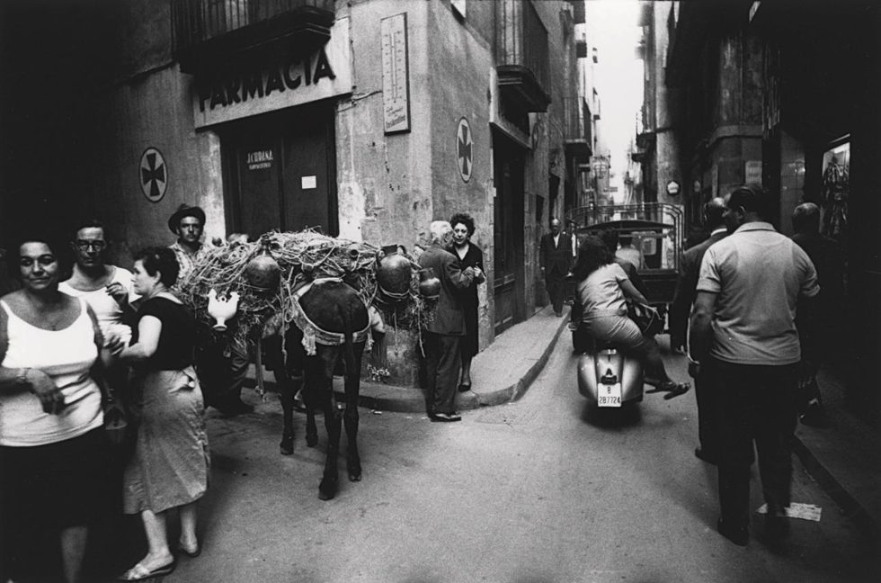 Xavier Miserachs — imagen 10